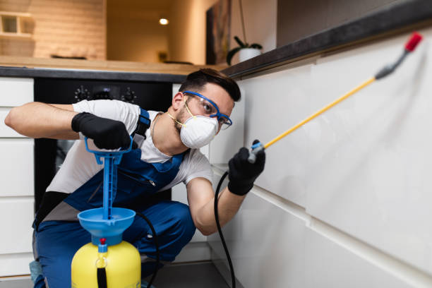 Reliable Lakewood Ranch, FL Pest Control Solutions