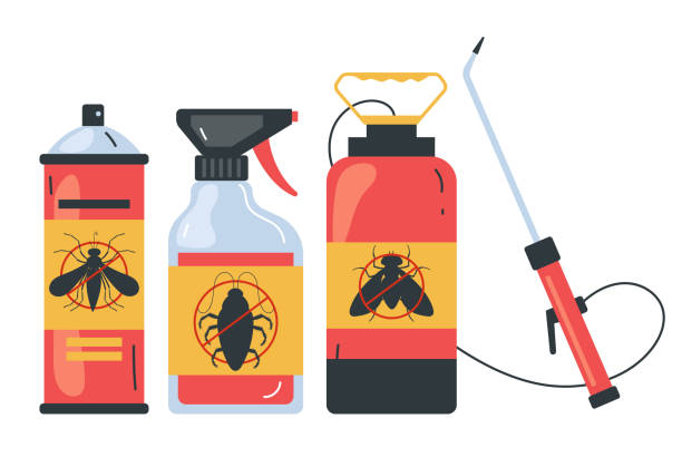 Spider Control Near Me in Lakewood Ranch, FL