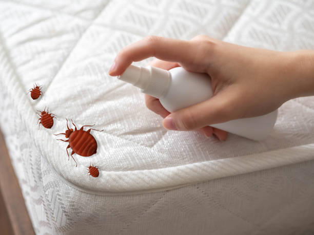 Best Pest Control Treatment  in Lakewood Ranch, FL