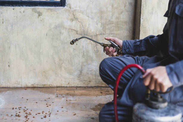 Best Residential Pest Control  in Lakewood Ranch, FL