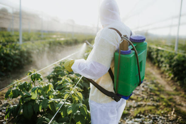 Best Best Pest Control Companies  in Lakewood Ranch, FL